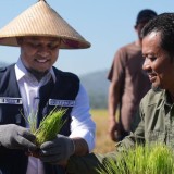 Andi Sudirman Sulaiman Prioritaskan Infrastruktur untuk Kemajuan Daerah