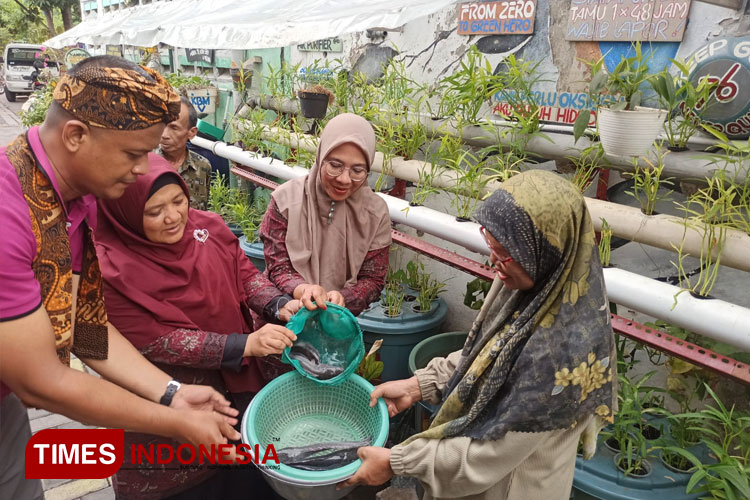 Kampoeng Oase Songo Surabaya Sukses Budikdamber Hingga Berhasil Panen