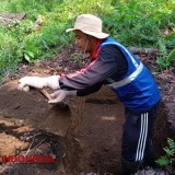 AQUA Banyuwangi Perluas Konservasi, Bangun Ratusan Rorak Baru di Songgon