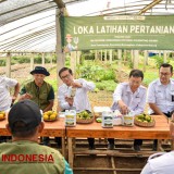 Petrokimia Gresik Dukung Sentra Tanaman Hortikultura Jadi Lebih Modern