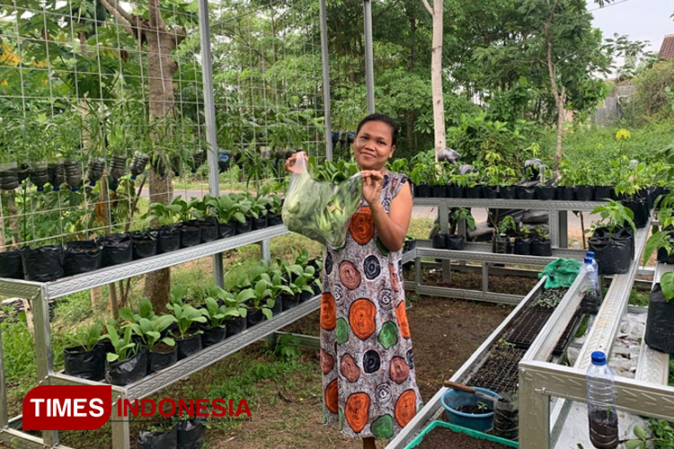 AQUA Banyuwangi Bantu Warga Benelan Kidul Wujudkan Mandiri Pangan dari Pekarangan