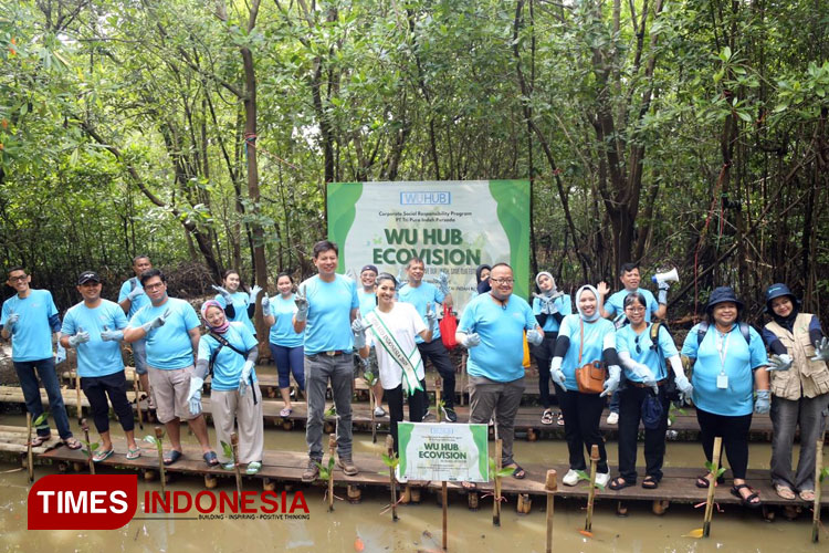 Penanaman Mangrove di PIK Jakarta Utara, Upaya Mendukung Nol Emisi 2060