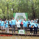 Penanaman Mangrove di PIK Jakarta Utara, Upaya Mendukung Nol Emisi 2060