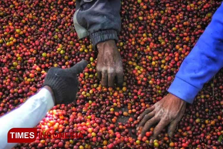 Lomba Foto "Cerita Kopi" Sambut Festival Kopi Nusantara II di Malang