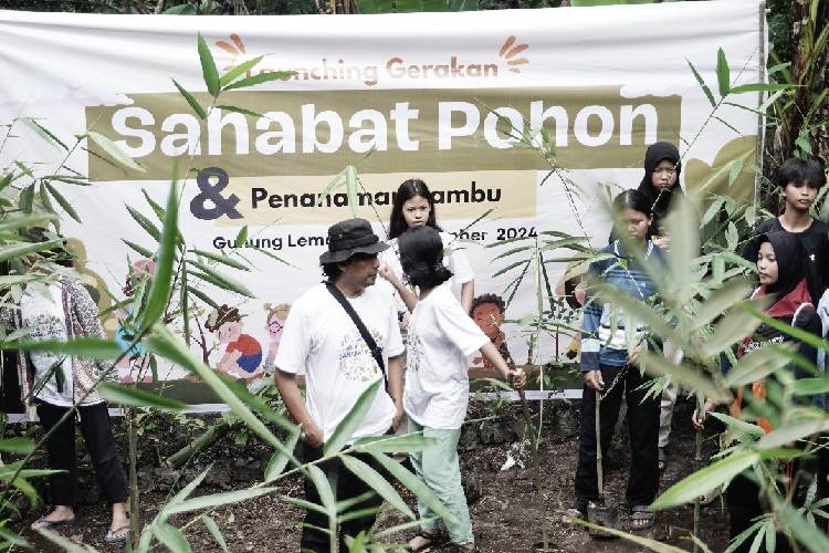 Sahabat Pohon, Gerakan Gen Z Selamatkan Bumi dari Krisis Iklim