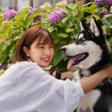 The Benefits of Pet Ownership: A Positive Influence on Life