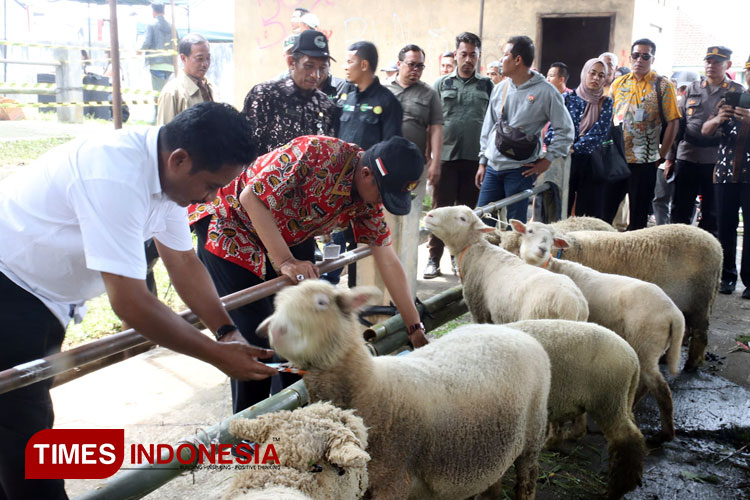 Pj Bupati Banjarnegara Muhammad Masrofi saat hadiri kontes domba Batur dan Expo Upland Indonesia (FOTO: Kominfo Banjarnegara for TIMES Indonesia)