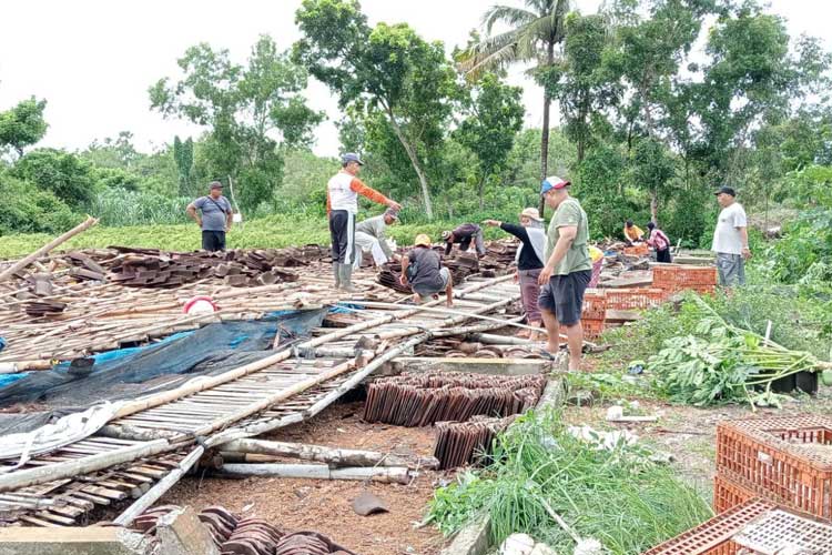 Kondisi kandang ayam Handri Sarwoko roboh terhempas angin kencang. (Foto: Istimewa)