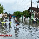 Sudah Sepekan, Banjir di Jombang Belum Surut, Ratusan Warga Masih Mengungsi