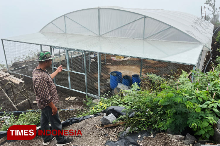 menunjukkan-lokasi-green-house-dan-biji-kopi-2.jpg