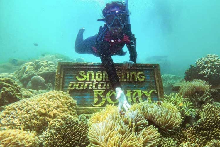 Snorkeling Pantai Bohay, Desa Binor, Kecamatan Paiton, Kabupaten Probolinggo. (Foto: Hos for TIMES Indonesia)