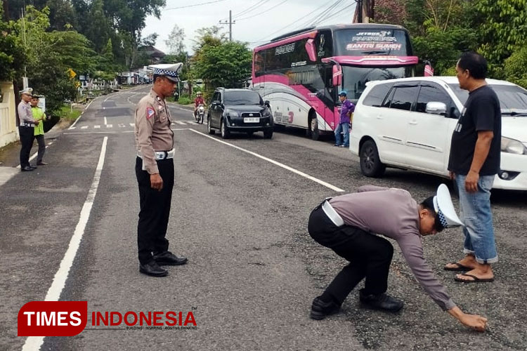 Bus Pariwisata Tabrak Motor di Pacitan, Dua Pelajar Alami Luka Ringan