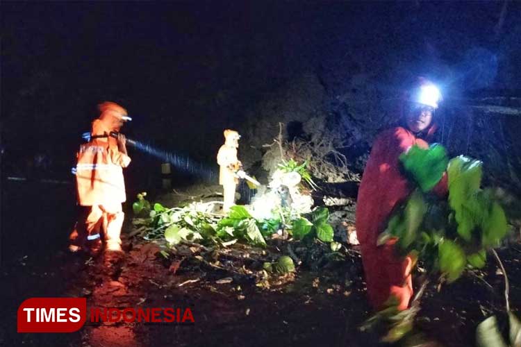 Ada 9 Titik Longsor dalam Semalam, BPBD Pacitan Bergerak Cepat