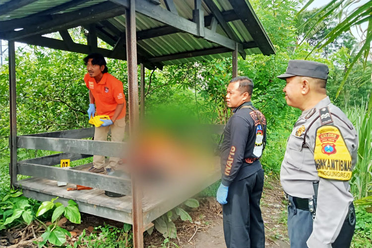 Mayat Perempuan Ditemukan di Gubuk Tengah Sawah di Malang