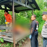 Mayat Perempuan Ditemukan di Gubuk Tengah Sawah di Malang