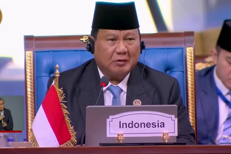 Indonesia Gagas Penguatan Ekonomi Halal di KTT D-8 Kairo