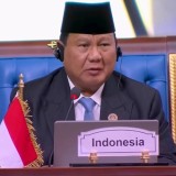 Indonesia Gagas Penguatan Ekonomi Halal di KTT D-8 Kairo