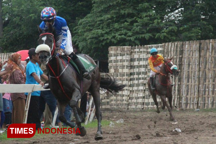 Kabupaten Kediri Tuan Rumah Kejurprov Pacuan Kuda, Persiapan untuk Porprov Jatim 2025