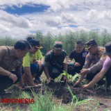 Perhutani Banyuwangi Selatan Ajak Seluruh Stakeholder Sukseskan Program Ketahanan Pangan Nasional