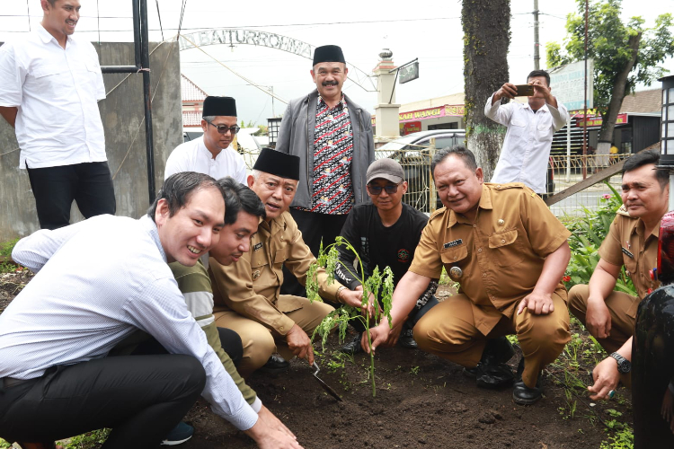 Bisa Cegah Stunting, Bupati Malang Canangkan Miracle Project Tanam 26 Ribu Pohon Kelor