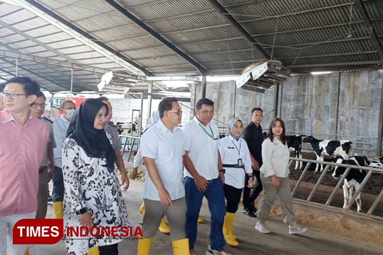 Pastikan Kecukupan Kebutuhan Susu, Pj Gubernur Jatim Kunjungi Peternakan Sapi Perah di Banyuwangi