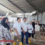 Pastikan Kecukupan Kebutuhan Susu, Pj Gubernur Jatim Kunjungi Peternakan Sapi Perah di Banyuwangi