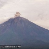 Gunung Semeru Erupsi Beberapa Kali, PVMBG Imbau Warga Waspada