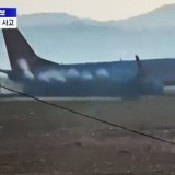 Kecelakaan Pesawat Jeju Air di Diduga Akibat Bird Strike, Tiga Orang Dilaporkan Selamat