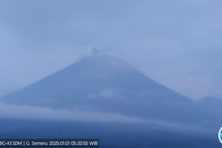 Gunung Semeru erupsi dengan letusan setinggi 500 meter pada Rabu (1/1/2025) pukul 05.20 WIB. (Foto: PVMBG)