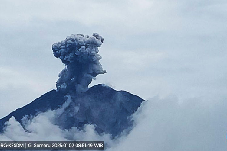 Gunung Semeru Erupsi, Muntahkan Abu Vulkanik Setinggi 1200 Meter