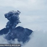 Gunung Semeru Erupsi, Muntahkan Abu Vulkanik Setinggi 1200 Meter