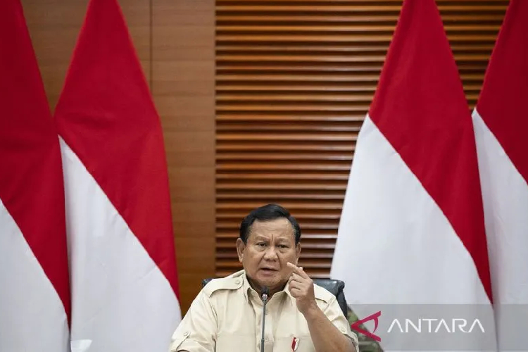 INFO GRAFIK: Presiden Prabowo Pastikan PPN 12 Persen Hanya untuk Barang Mewah