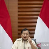 INFO GRAFIK: Presiden Prabowo Pastikan PPN 12 Persen Hanya untuk Barang Mewah