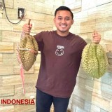 Wisata Petik Durian Langsung dari Pohon Hadir di Gresik