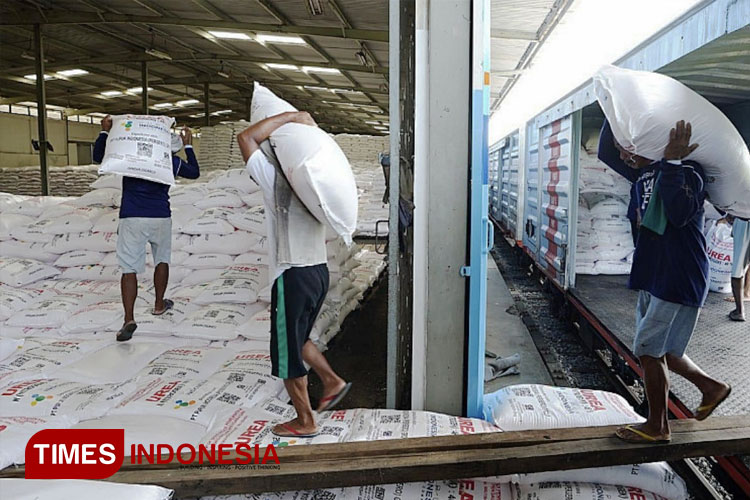 Distribusi Meningkat, Dinas Pertanian Banten Klaim Persediaan Pupuk Bersubsidi Aman