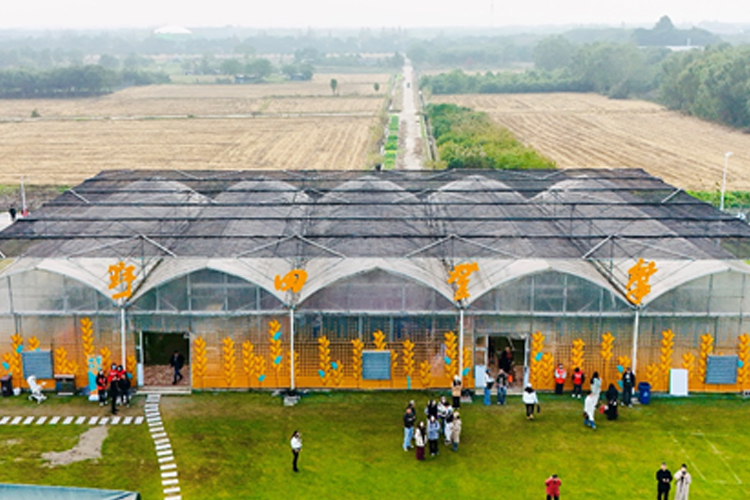 The Green House transformed into a Venue at the Modern Art Field event.