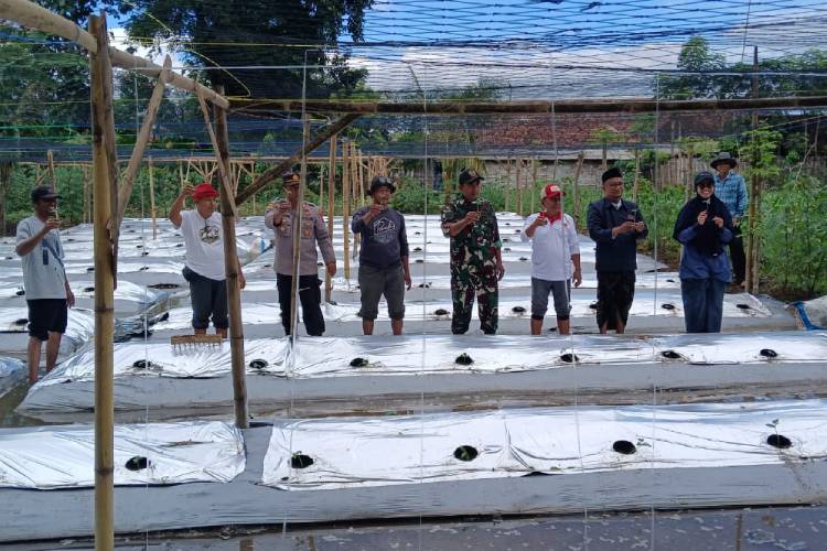 MWCNU di Probolinggo Luncurkan Program Ketahanan Pangan, Manfaatkan Pekarangan