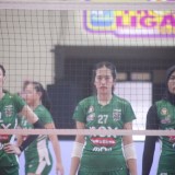 PLN Mobile Proliga 2025, Bandung BJB Menang 3-0 Atas Yogya Falcons