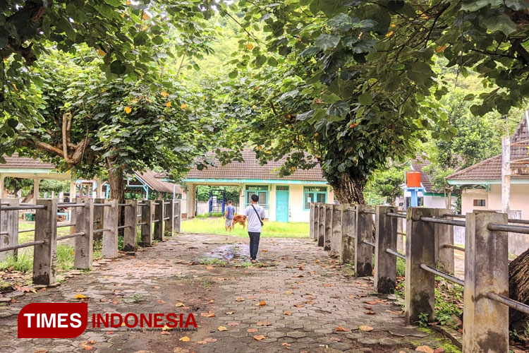 Kasus PMK di Pacitan Mengganas, Penutupan Pasar Hewan Belum Jelas