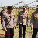 Melalui Kegiatan Tanam Jagung, Kapolres Majalengka Tinjau Lahan Ketahanan Pangan