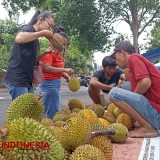 Banyuwangi Diserbu Durian Bali, Pedagang Buah Kebanjiran Rezeki