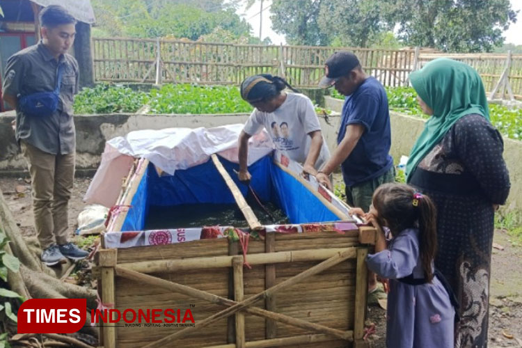 memeriksa-kondisi-lele-organik-hasil-budidaya-2.jpg