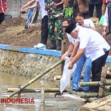 Sambang Desa, Bupati Malang Dukung Potensi Ekonomi Desa dengan Ikan Nila