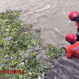 Bayi Laki-Laki Ditemukan Mengapung di Pintu Air Jagir