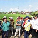 Pj Gubernur Adhy Apresiasi Komitmen Pemerintah Pusat Perbaiki Saluran Irigasi di Jatim