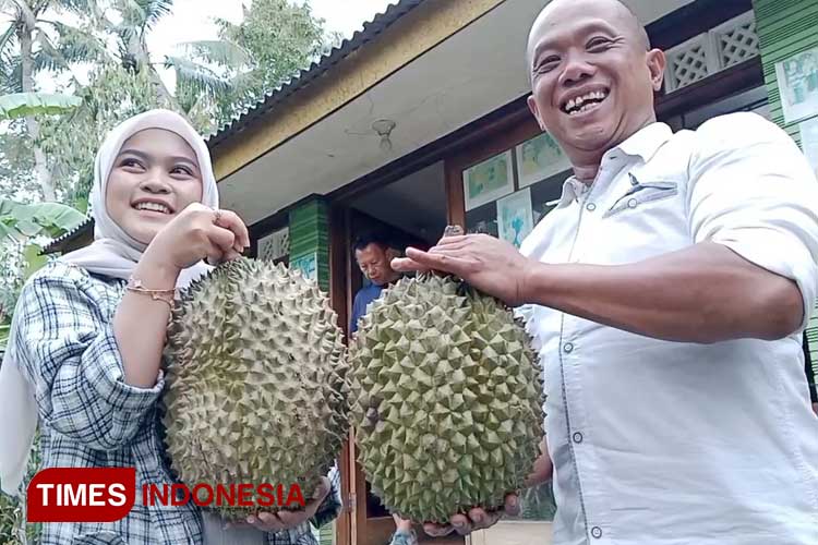 Banyumas Musim Durian, Kemranjen Siap Jadi Wisata Kuliner Pecinta Durian Bawor