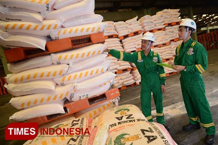 Pupuk Subsidi 79.101 Ton, Petani Banyuwangi  Alokasi Pupuk Subsidi di Banyuwangi Wajib Terdaftar e-RDKK