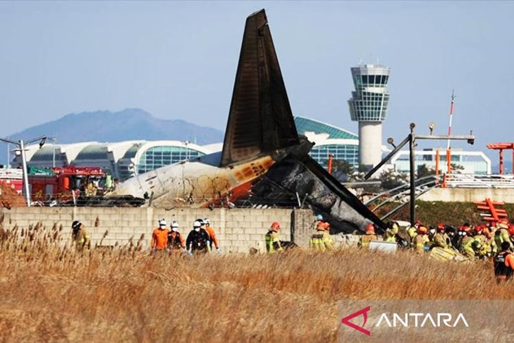 Kotak Hitam Pesawat Jeju Air Berhenti Merekam Sebelum Kecelakaan Fatal