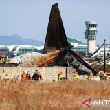 Kotak Hitam Pesawat Jeju Air Berhenti Merekam Sebelum Kecelakaan Fatal