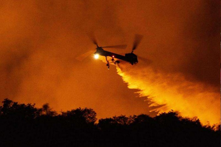 Korban Kebakaran Hutan Los Angeles Bertambah, 24 Meninggal 16 Orang Hilang